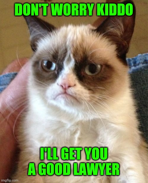 Grumpy Cat Meme | DON'T WORRY KIDDO I'LL GET YOU A GOOD LAWYER | image tagged in memes,grumpy cat | made w/ Imgflip meme maker