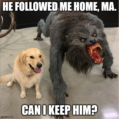 dog vs werewolf | HE FOLLOWED ME HOME, MA. CAN I KEEP HIM? | image tagged in dog vs werewolf | made w/ Imgflip meme maker