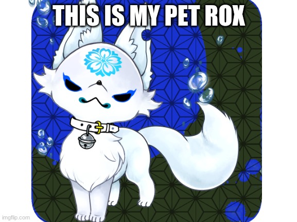 i can not get over how cute she is | THIS IS MY PET ROX | made w/ Imgflip meme maker