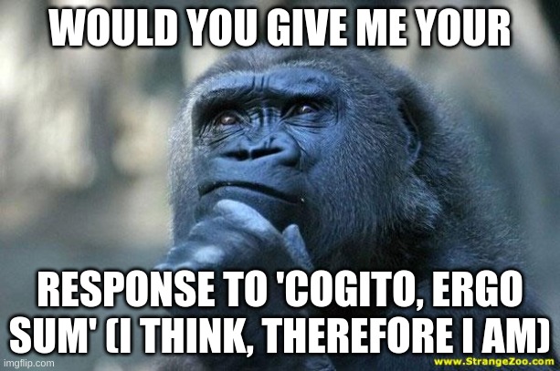 Can you disprove it? | WOULD YOU GIVE ME YOUR; RESPONSE TO 'COGITO, ERGO SUM' (I THINK, THEREFORE I AM) | image tagged in deep thoughts | made w/ Imgflip meme maker