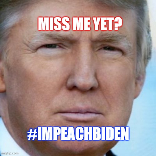 Miss Me Yet? | MISS ME YET? #IMPEACHBIDEN | image tagged in election fraud | made w/ Imgflip meme maker