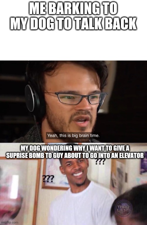 ME BARKING TO MY DOG TO TALK BACK; MY DOG WONDERING WHY I WANT TO GIVE A SUPRISE BOMB TO GUY ABOUT TO GO INTO AN ELEVATOR | image tagged in yeah this is big brain time,black guy confused | made w/ Imgflip meme maker