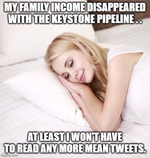 Family Income | MY FAMILY INCOME DISAPPEARED WITH THE KEYSTONE PIPELINE . . AT LEAST I WON'T HAVE TO READ ANY MORE MEAN TWEETS. | image tagged in sleeping woman,keystone,economy,joe biden,jobs | made w/ Imgflip meme maker