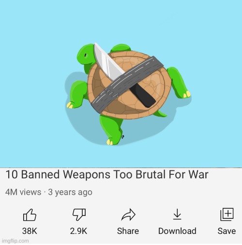 knife turtle | image tagged in memes,funny,turtle,knife,banned,weapons | made w/ Imgflip meme maker
