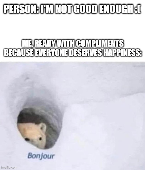 That means you, too! | PERSON: I'M NOT GOOD ENOUGH :(; ME, READY WITH COMPLIMENTS BECAUSE EVERYONE DESERVES HAPPINESS: | image tagged in bonjour | made w/ Imgflip meme maker