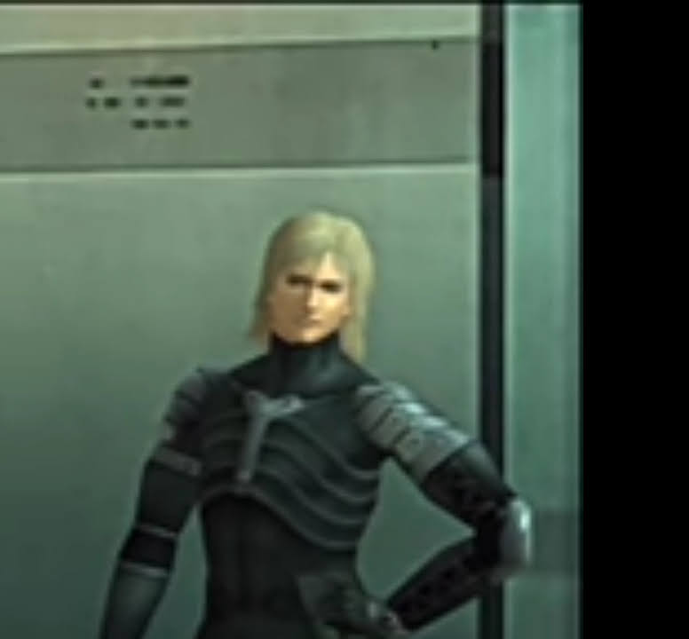 Raiden Blank Meme Template