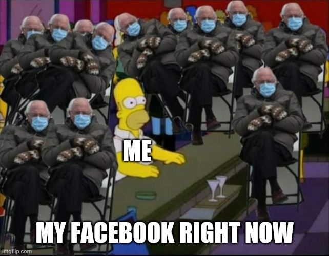 My Facebook | ME; MY FACEBOOK RIGHT NOW | image tagged in bernie,homer simpson | made w/ Imgflip meme maker