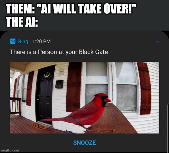 Cardinal is a human | THEM: "AI WILL TAKE OVER!" 
THE AI: | image tagged in ai meme | made w/ Imgflip meme maker
