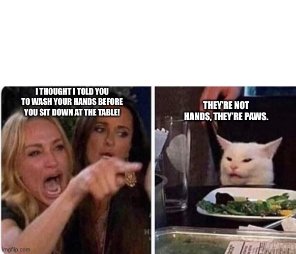 Lady screams at cat | THEY’RE NOT HANDS, THEY’RE PAWS. I THOUGHT I TOLD YOU TO WASH YOUR HANDS BEFORE YOU SIT DOWN AT THE TABLE! | image tagged in lady screams at cat | made w/ Imgflip meme maker