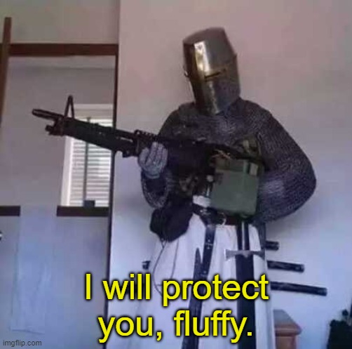 Crusader knight with M60 Machine Gun | I will protect you, fluffy. | image tagged in crusader knight with m60 machine gun | made w/ Imgflip meme maker