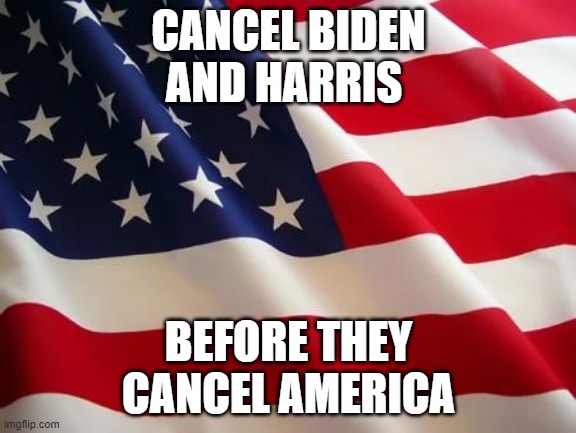 American flag | CANCEL BIDEN AND HARRIS; BEFORE THEY CANCEL AMERICA | image tagged in american flag | made w/ Imgflip meme maker