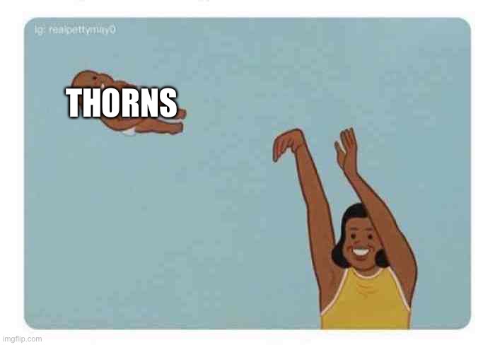 mom throwing baby | THORNS | image tagged in mom throwing baby | made w/ Imgflip meme maker