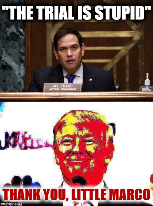 Servile Little Marco | "THE TRIAL IS STUPID"; THANK YOU, LITTLE MARCO | image tagged in marco rubio the trial is stupid,donald trump approves deep-fried 2,traitor,trump impeachment,impeachment,marco rubio | made w/ Imgflip meme maker