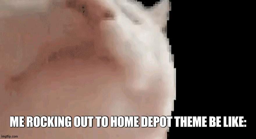 Vibing cat | ME ROCKING OUT TO HOME DEPOT THEME BE LIKE: | image tagged in vibing cat | made w/ Imgflip meme maker