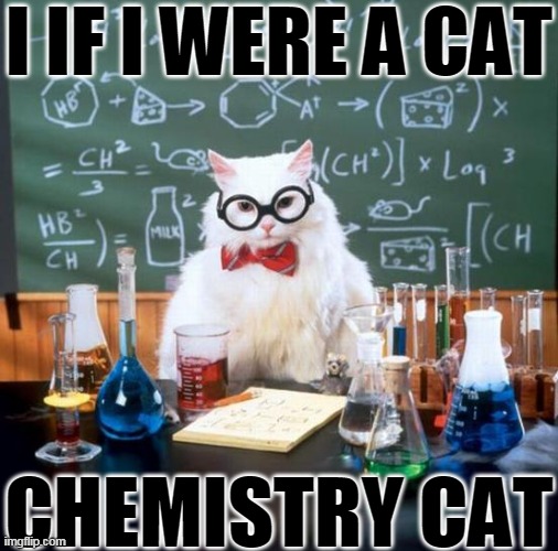 Chemistry Cat | I IF I WERE A CAT; CHEMISTRY CAT | image tagged in memes,chemistry cat | made w/ Imgflip meme maker