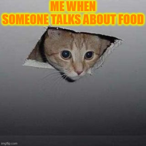 Ceiling Cat Meme | ME WHEN SOMEONE TALKS ABOUT FOOD | image tagged in memes,ceiling cat | made w/ Imgflip meme maker