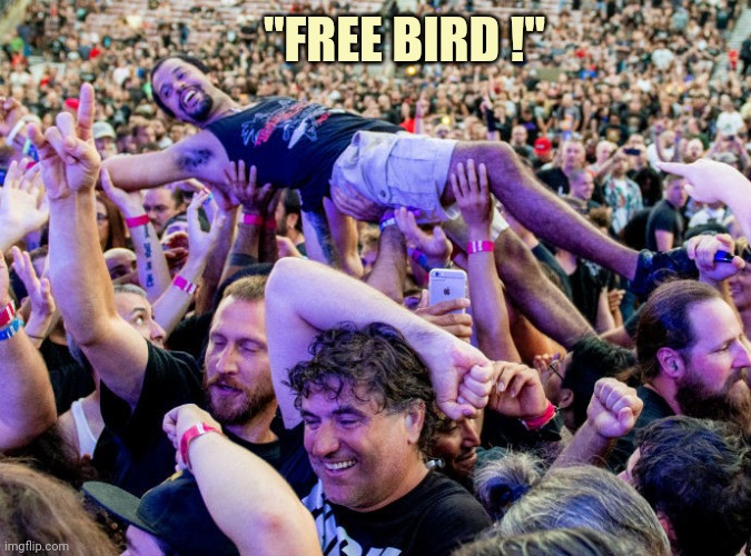 Crowdsurfing at a Rock Concert | "FREE BIRD !" | image tagged in crowdsurfing at a rock concert | made w/ Imgflip meme maker