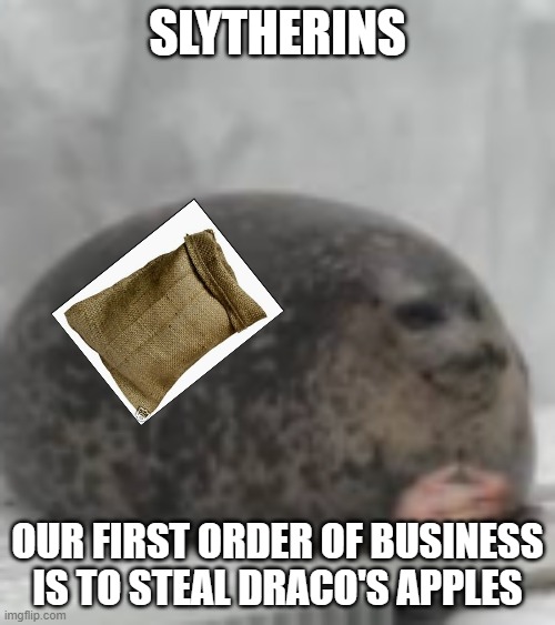 We stealin some apples bois | SLYTHERINS; OUR FIRST ORDER OF BUSINESS IS TO STEAL DRACO'S APPLES | image tagged in waiting seal | made w/ Imgflip meme maker