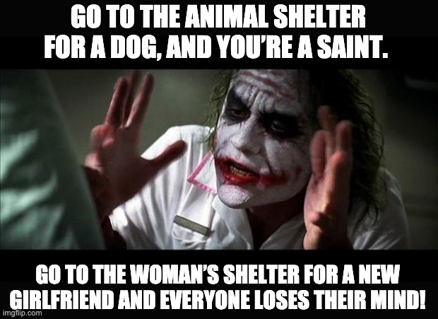 Shelter dwellers | GO TO THE ANIMAL SHELTER FOR A DOG, AND YOU’RE A SAINT. GO TO THE WOMAN’S SHELTER FOR A NEW GIRLFRIEND AND EVERYONE LOSES THEIR MIND! | image tagged in joker mind loss | made w/ Imgflip meme maker
