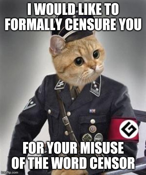 Grammar Cat  | I WOULD LIKE TO FORMALLY CENSURE YOU FOR YOUR MISUSE OF THE WORD CENSOR | image tagged in grammar cat | made w/ Imgflip meme maker