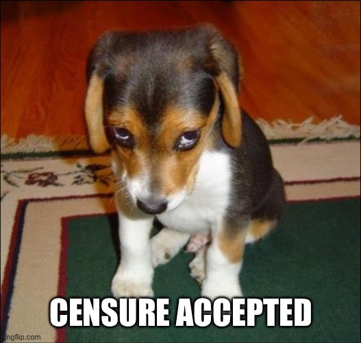 guilty puppy | CENSURE ACCEPTED | image tagged in guilty puppy | made w/ Imgflip meme maker