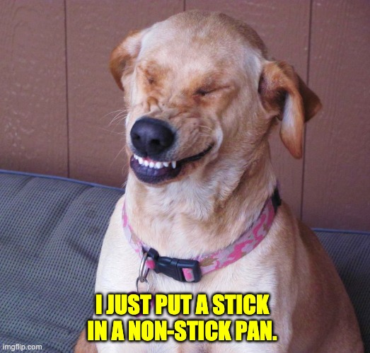 Stick | I JUST PUT A STICK IN A NON-STICK PAN. | image tagged in laughing dog | made w/ Imgflip meme maker