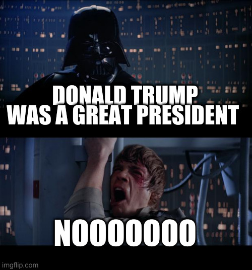 villains lie | DONALD TRUMP WAS A GREAT PRESIDENT; NOOOOOOO | image tagged in memes,star wars no | made w/ Imgflip meme maker