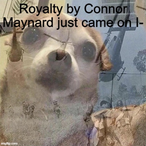 Dog PTSD | Royalty by Connor Maynard just came on I- | image tagged in dog ptsd | made w/ Imgflip meme maker