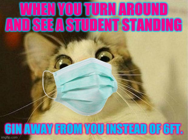 2.O Quarantine cat in school | WHEN YOU TURN AROUND AND SEE A STUDENT STANDING; 6IN AWAY FROM YOU INSTEAD OF 6FT. | image tagged in quarantine,school,cat | made w/ Imgflip meme maker