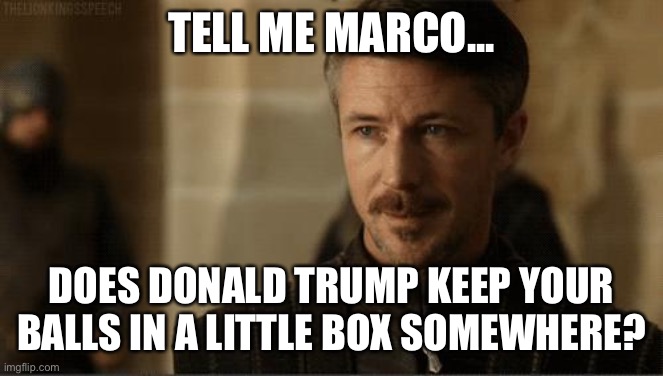 littlefinger | TELL ME MARCO... DOES DONALD TRUMP KEEP YOUR BALLS IN A LITTLE BOX SOMEWHERE? | image tagged in littlefinger | made w/ Imgflip meme maker