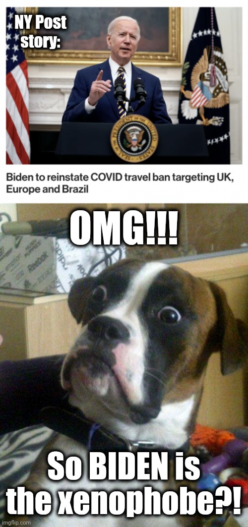 We had the wrong guy, all this time... | NY Post
story:; OMG!!! So BIDEN is the xenophobe?! | image tagged in blankie the shocked dog,memes,joe biden,travel ban,coronavirus,covid-19 | made w/ Imgflip meme maker