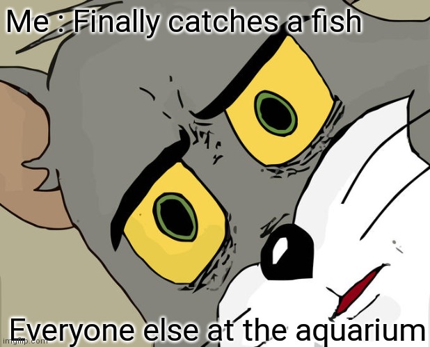 Unsettled Tom | Me : Finally catches a fish; Everyone else at the aquarium | image tagged in memes,unsettled tom | made w/ Imgflip meme maker
