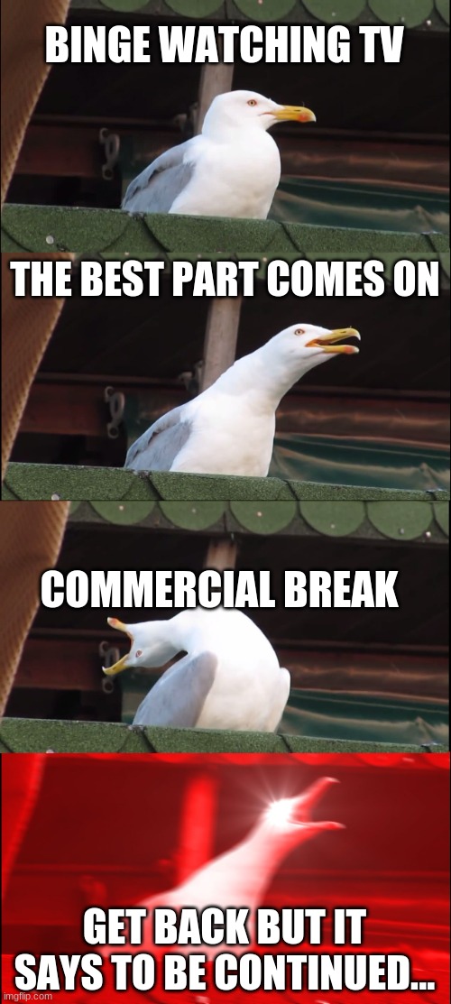 TV | BINGE WATCHING TV; THE BEST PART COMES ON; COMMERCIAL BREAK; GET BACK BUT IT SAYS TO BE CONTINUED... | image tagged in memes,inhaling seagull | made w/ Imgflip meme maker