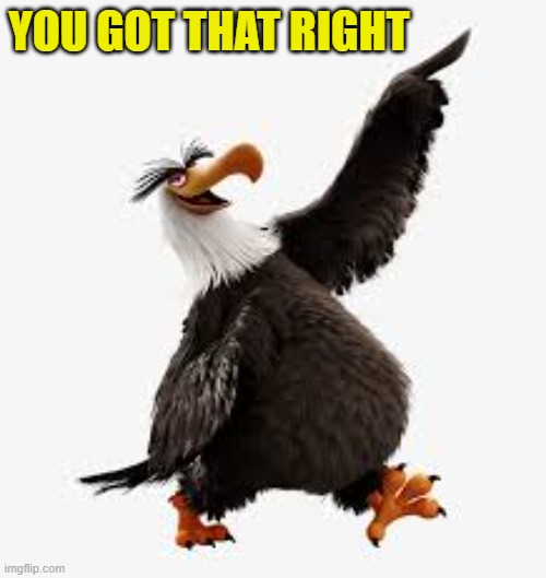 angry birds eagle | YOU GOT THAT RIGHT | image tagged in angry birds eagle | made w/ Imgflip meme maker