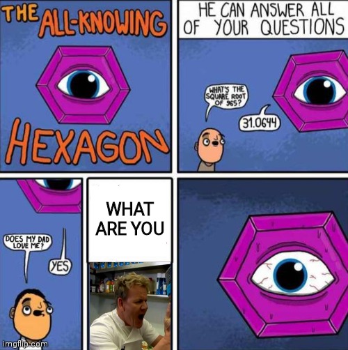 All knowing hexagon (ORIGINAL) | WHAT ARE YOU | image tagged in all knowing hexagon original | made w/ Imgflip meme maker