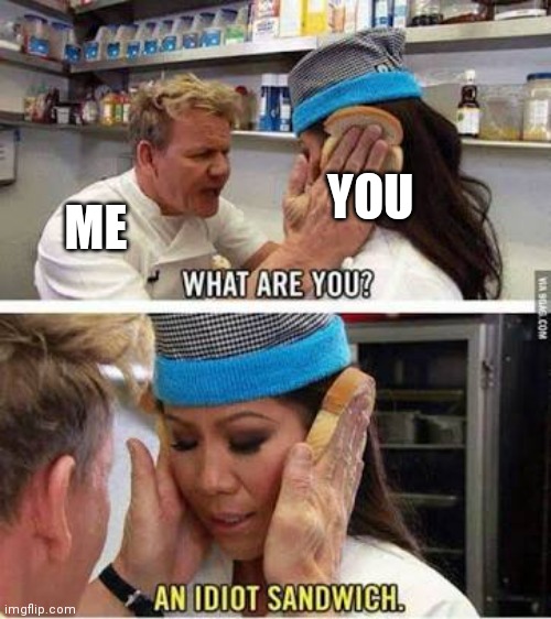 Idiot sandwich | ME YOU | image tagged in idiot sandwich | made w/ Imgflip meme maker