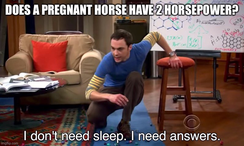 I don't need sleep I need answers | DOES A PREGNANT HORSE HAVE 2 HORSEPOWER? | image tagged in i don't need sleep i need answers | made w/ Imgflip meme maker