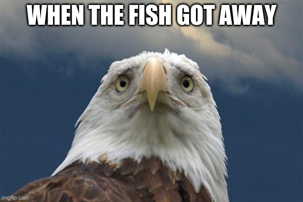 Hi y'all! | WHEN THE FISH GOT AWAY | image tagged in sad american eagle | made w/ Imgflip meme maker