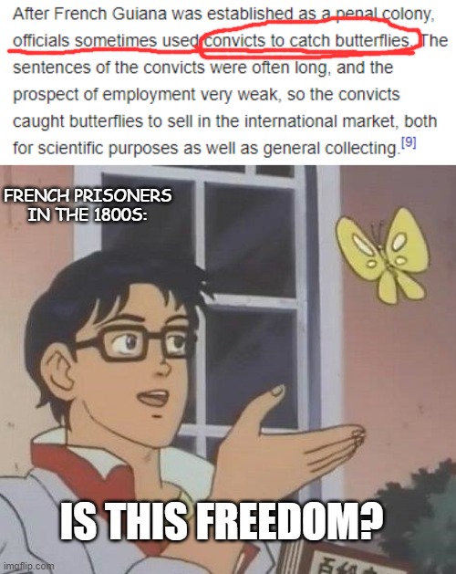Umm........ Okay, France. | FRENCH PRISONERS IN THE 1800S:; IS THIS FREEDOM? | image tagged in memes,is this a pigeon,france,butterflies | made w/ Imgflip meme maker