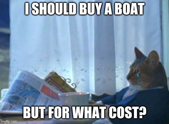 I Should Buy A Boat Cat Meme | I SHOULD BUY A BOAT; BUT FOR WHAT COST? | image tagged in memes,i should buy a boat cat | made w/ Imgflip meme maker
