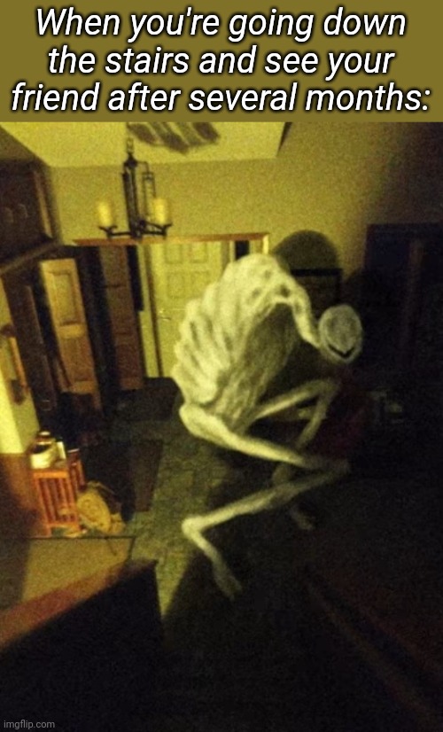 When you're going down the stairs and see your friend after several months: | made w/ Imgflip meme maker