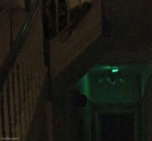 "Are my relatives gone yet?" | made w/ Imgflip meme maker