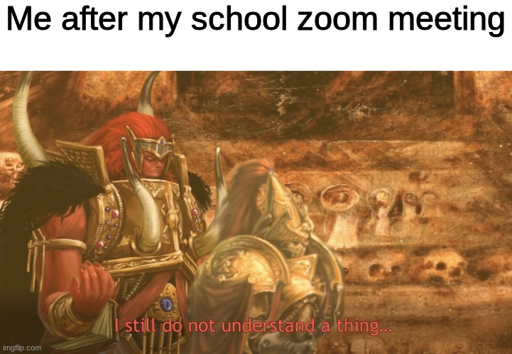 I still do not understand a thing | Me after my school zoom meeting | image tagged in i still do not understand a thing | made w/ Imgflip meme maker