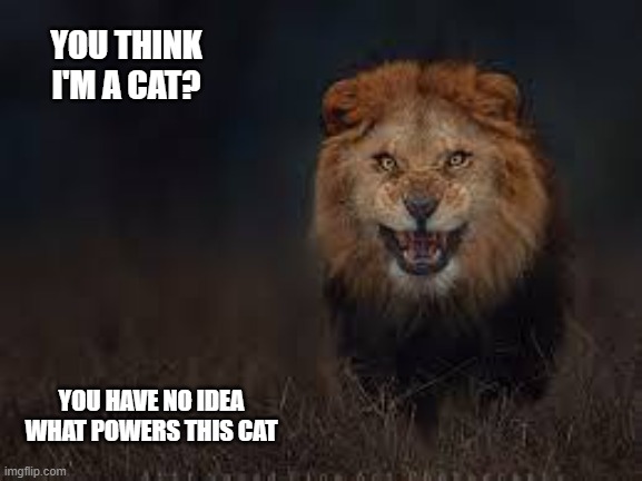 lion | YOU THINK I'M A CAT? YOU HAVE NO IDEA WHAT POWERS THIS CAT | image tagged in strength | made w/ Imgflip meme maker