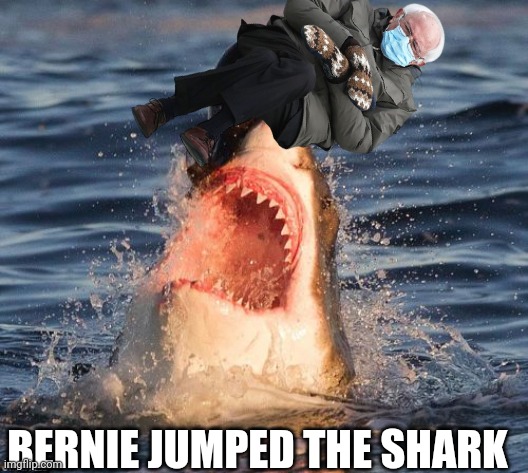 Bernie Jumped the Shark | BERNIE JUMPED THE SHARK | image tagged in funny | made w/ Imgflip meme maker