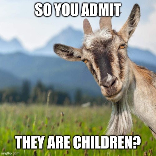 creepy condescending goat | SO YOU ADMIT THEY ARE CHILDREN? | image tagged in creepy condescending goat | made w/ Imgflip meme maker