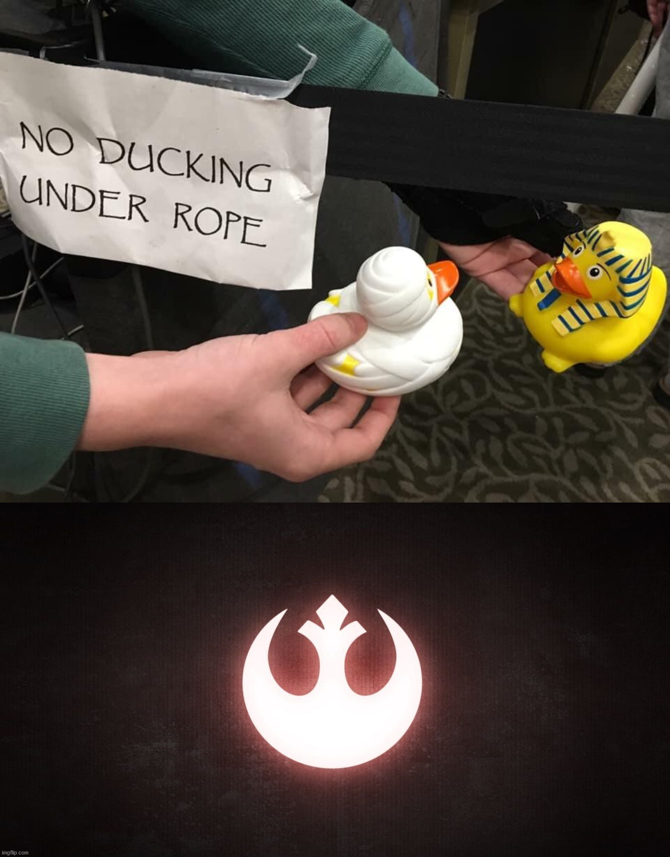image tagged in star wars resistance rebel rebellion,ducks | made w/ Imgflip meme maker