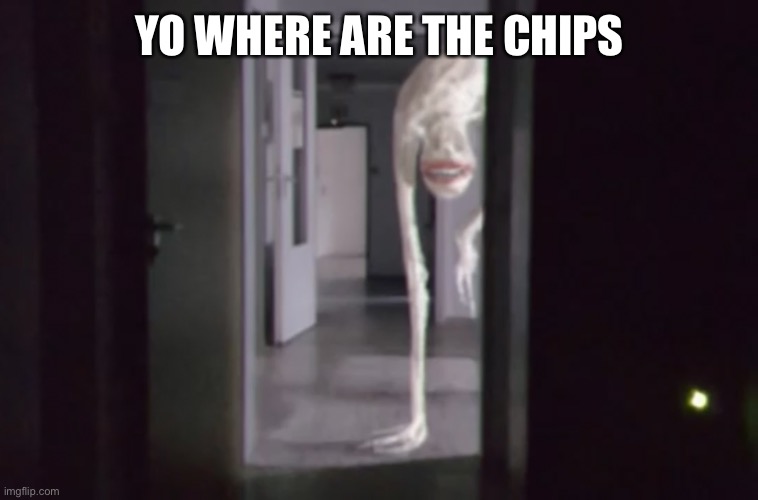 inspired by what this stream has been recently doing | YO WHERE ARE THE CHIPS | image tagged in memes,funny,cursed image,chips,oh okay | made w/ Imgflip meme maker