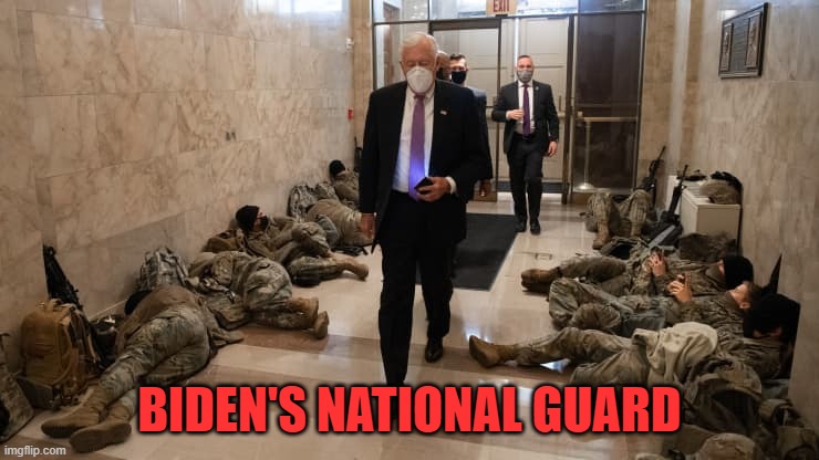 National Guard Protects Congress | BIDEN'S NATIONAL GUARD | image tagged in national guard protects congress | made w/ Imgflip meme maker