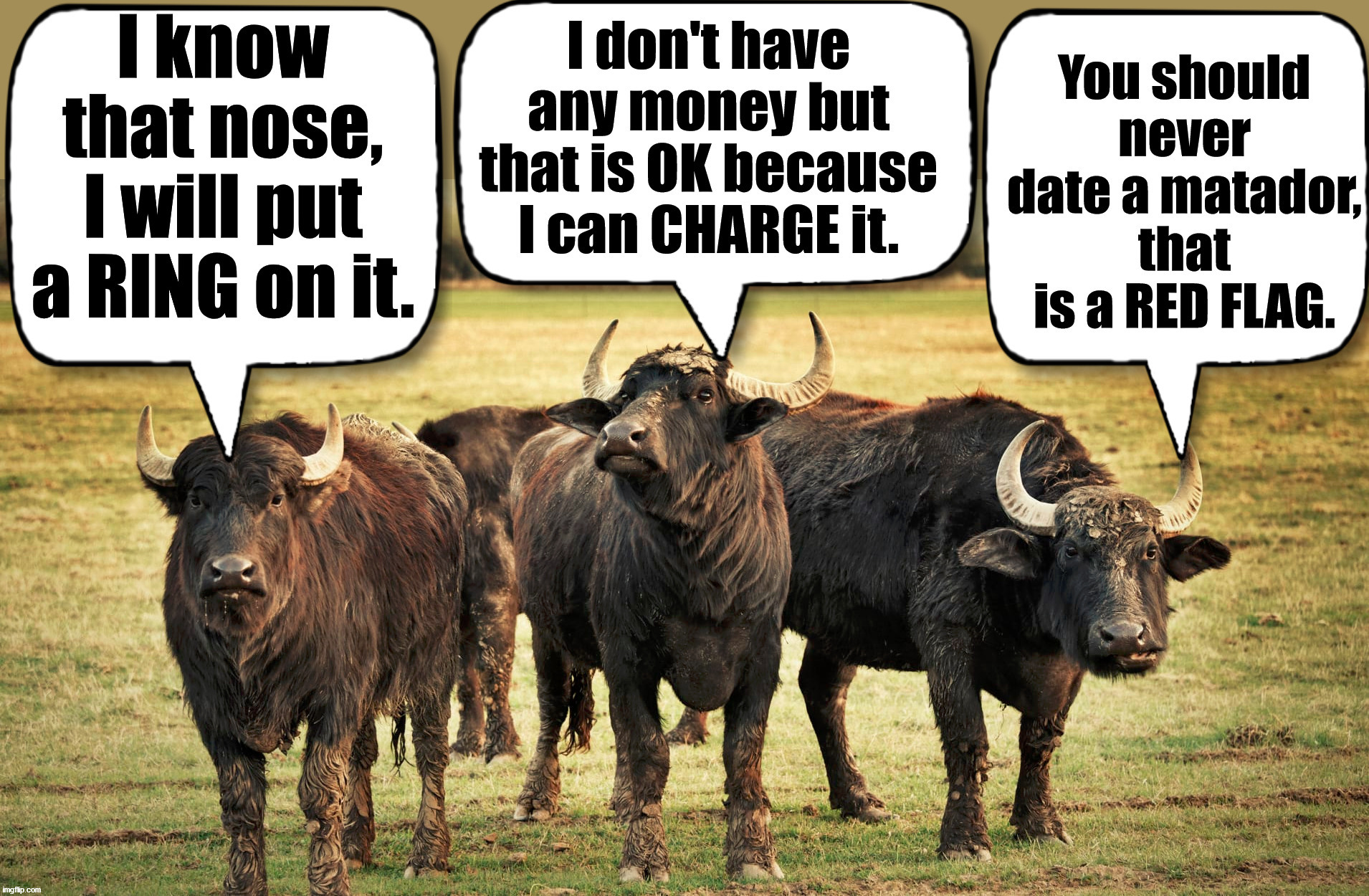 bull puns | image tagged in eye roll | made w/ Imgflip meme maker